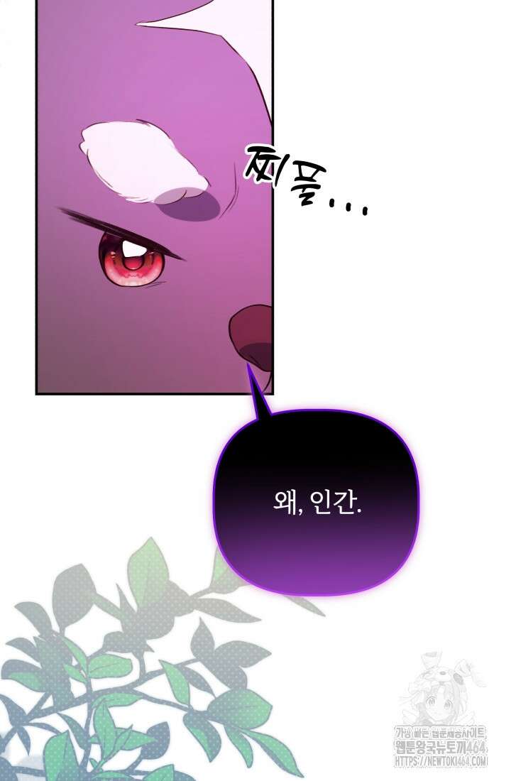 아젤다 : 정령사의 계약 결혼 4화 40
