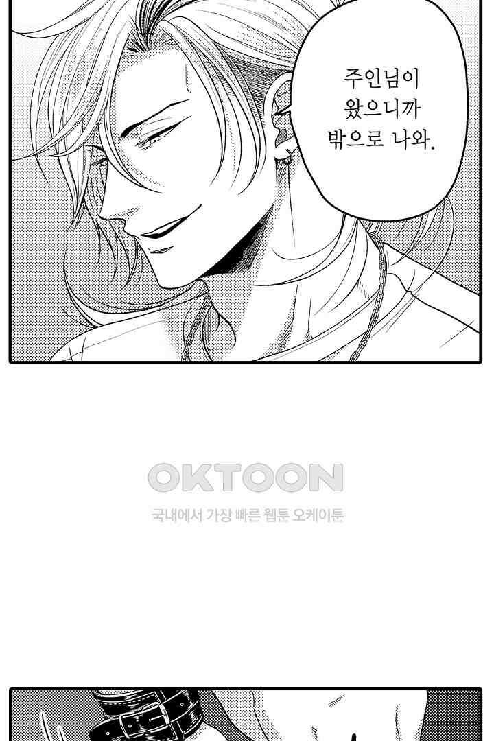 양키 군은 개가 되고 싶어 29화 8