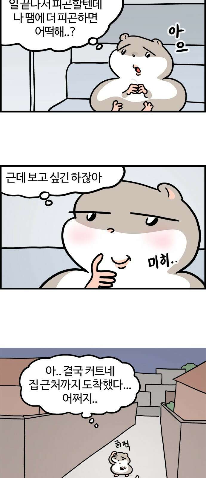 흔한햄 2부 40화 : 1박 2