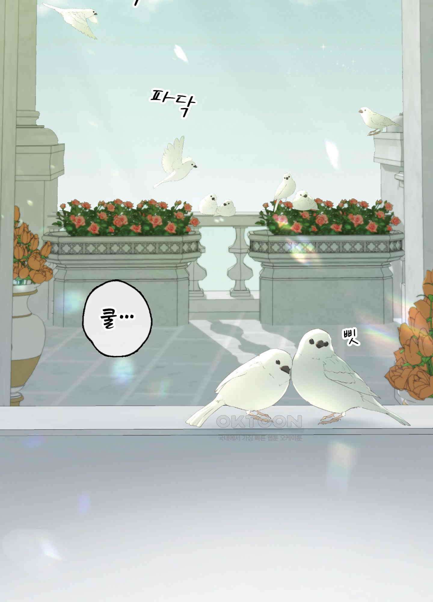 혼란스럽게 23화 2