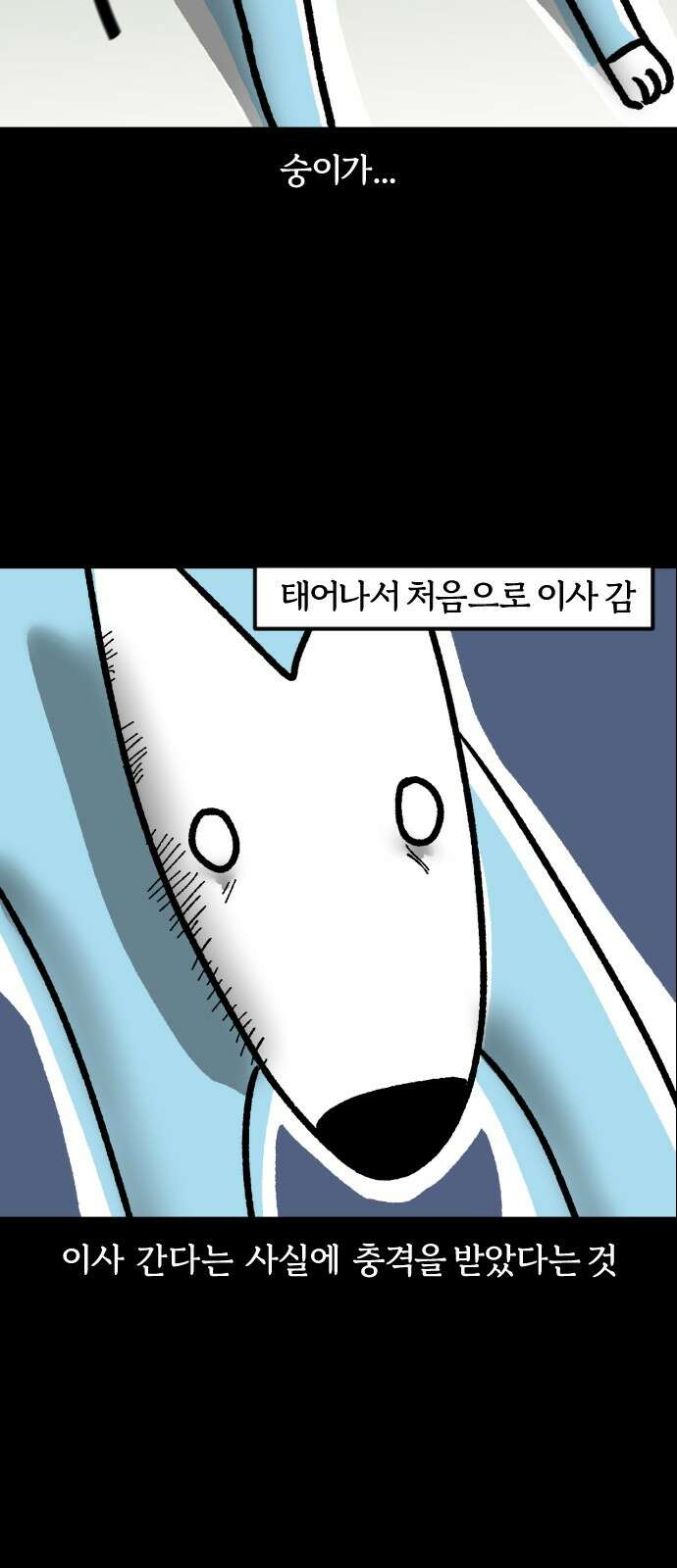 개집사 34화: 독립하다 (上) 12