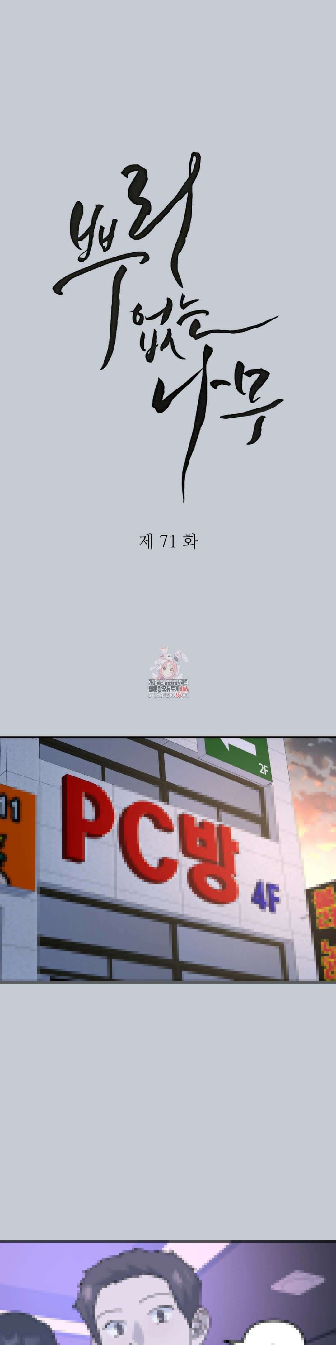 뿌리 없는 나무 71화 1
