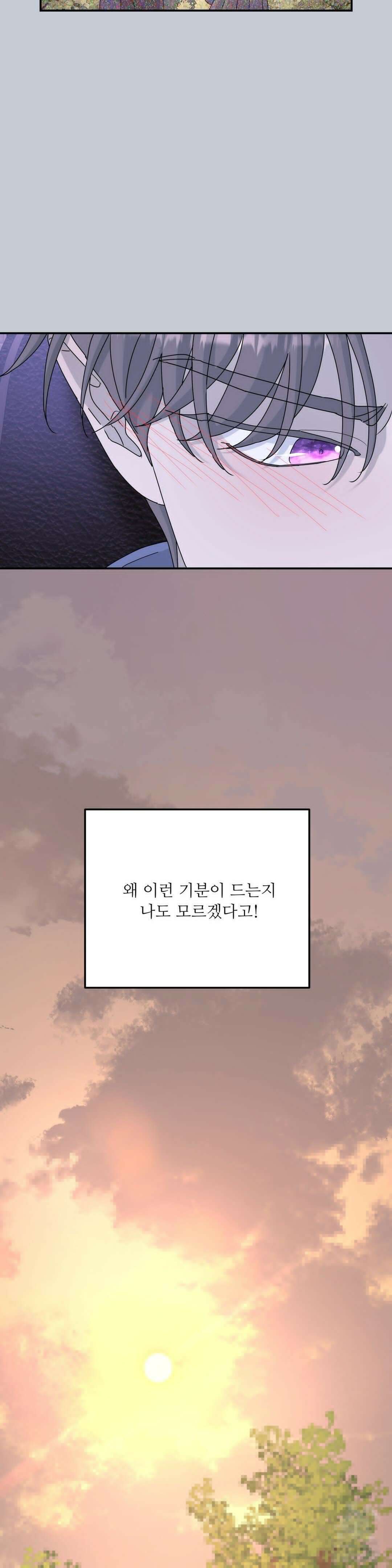 뿌리 없는 나무 71화 4