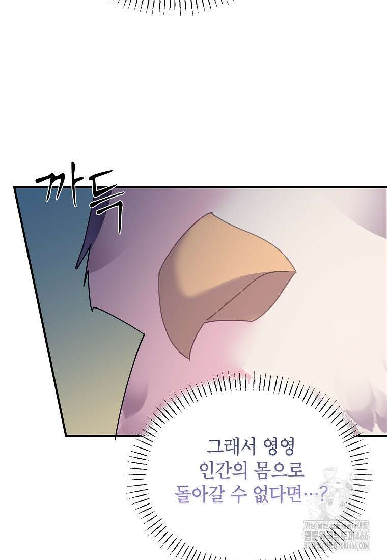 전령새 왕녀님 121화 13