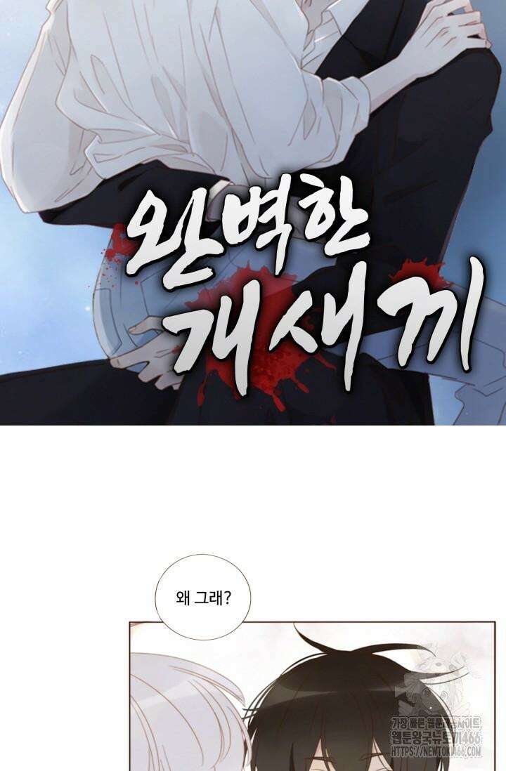 완벽한 개새끼 60화 7