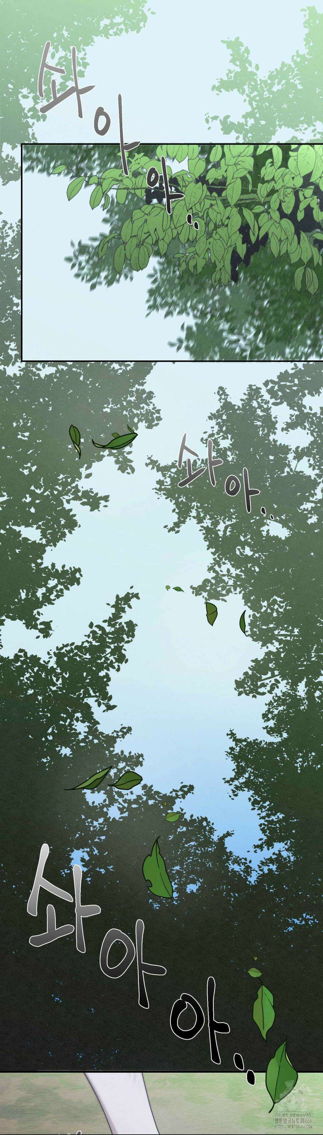 디어, 테디베어 28화 2