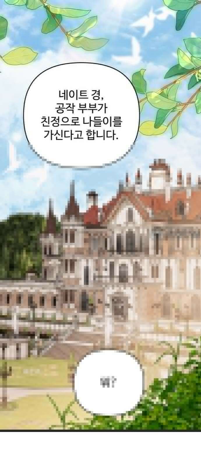 부부의 의무를 원하신다면 35화 6