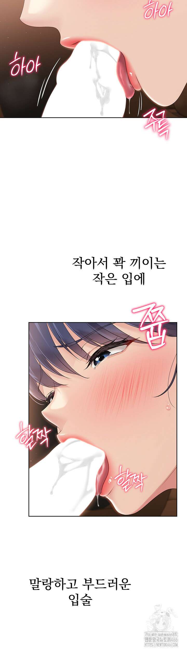 세트업 22화 46