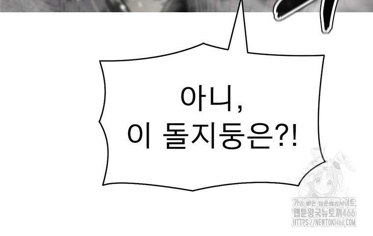 불멸의 투귀 133화 100