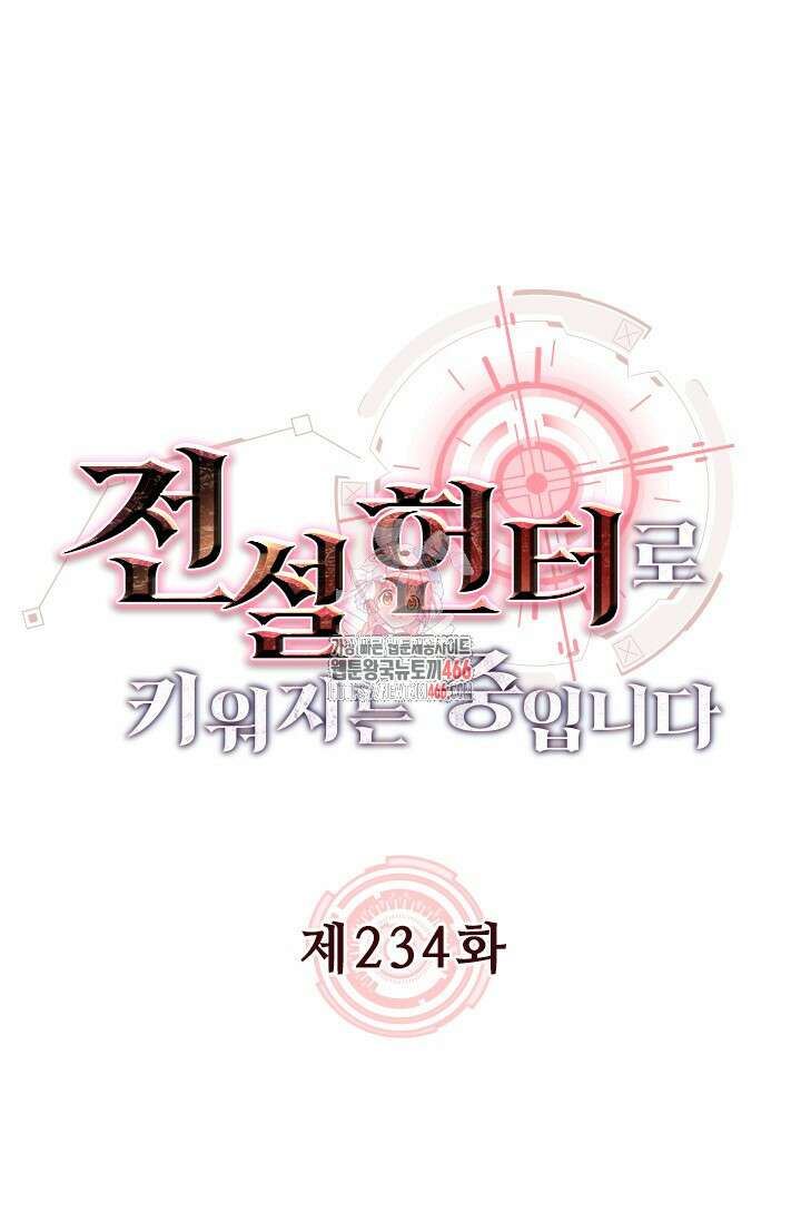 전설 헌터로 키워지는 중입니다 234화 1