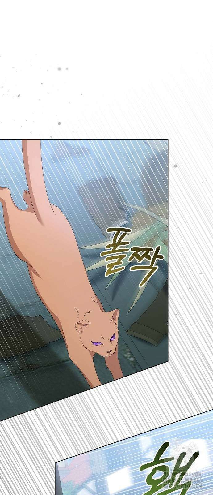 암살자 가문의 수양딸이 되었다 54화 10