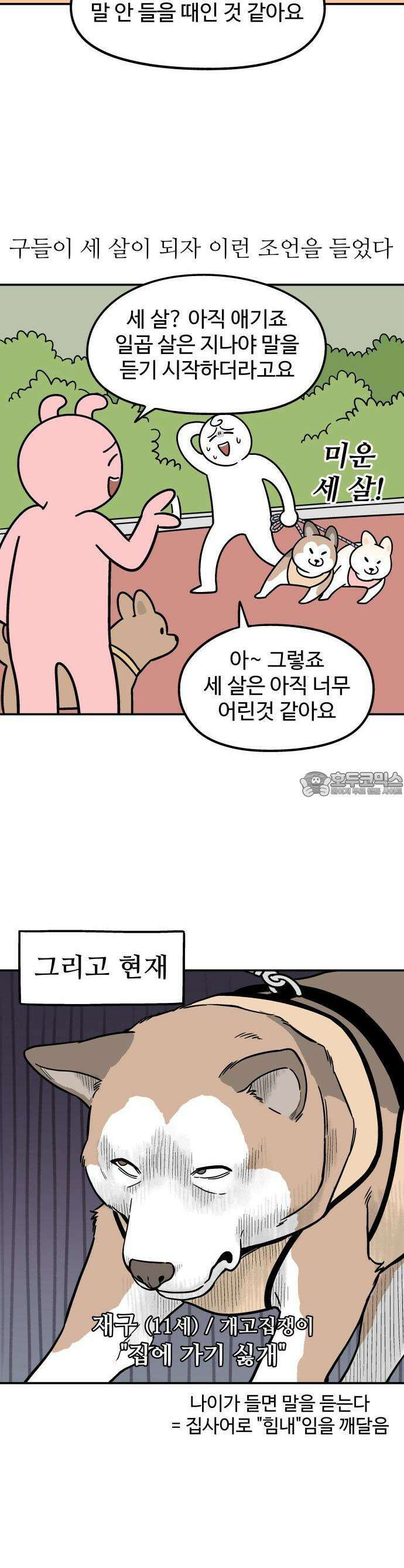 노곤하개 쇼츠 1화 2