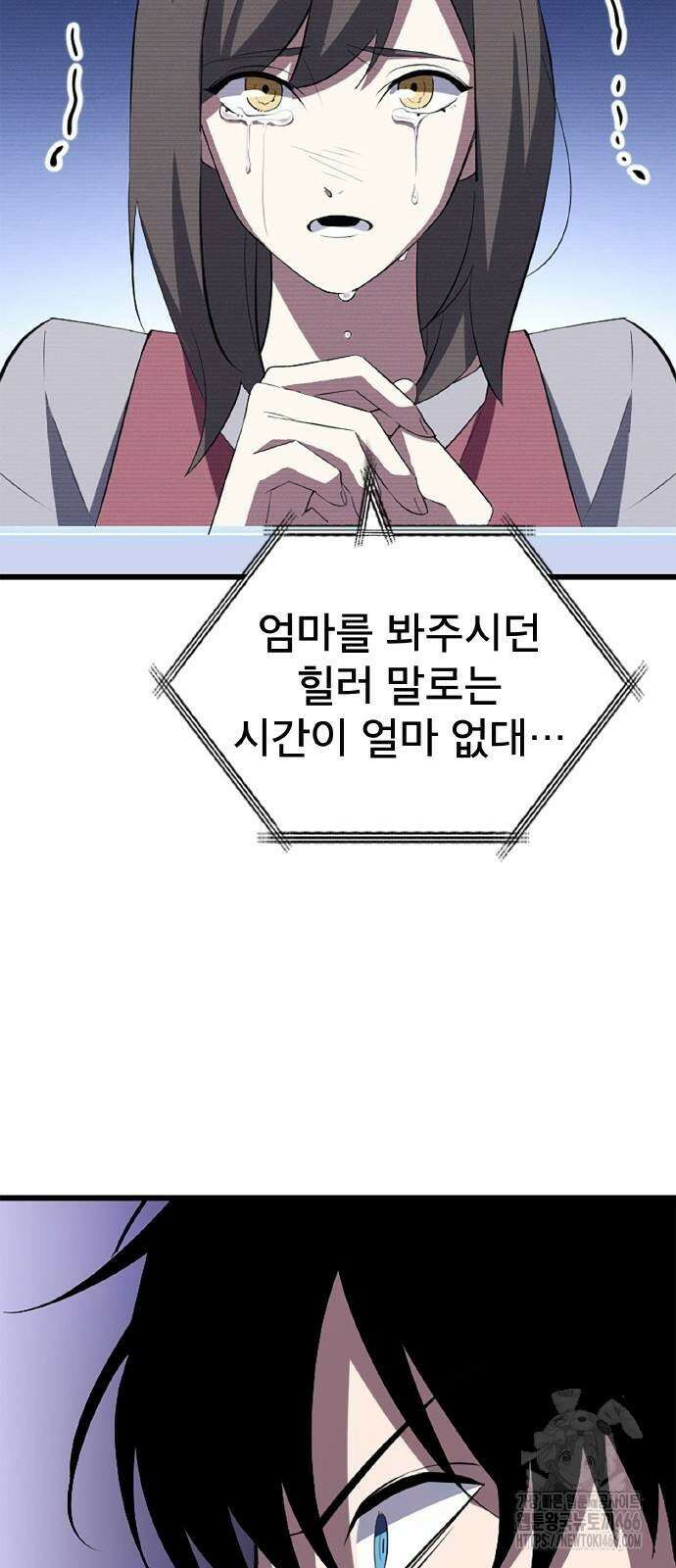 ???랭크 히든 장비 무쌍 29화 33