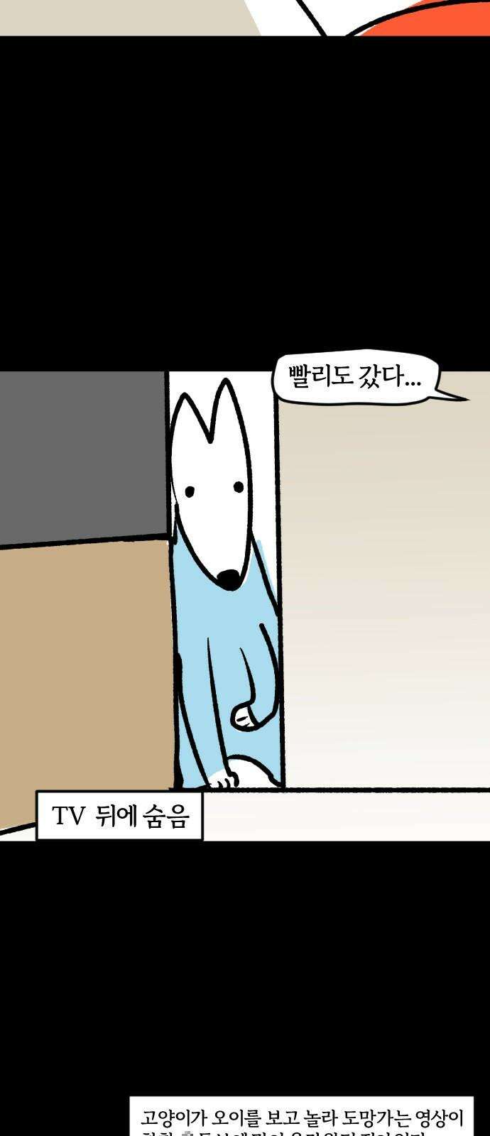 개집사 45화: 용맹한 진돗개 13