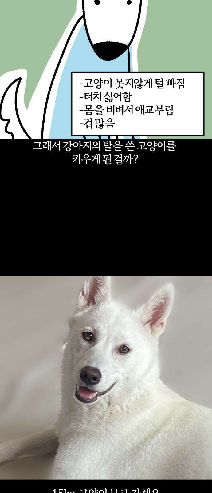 개집사 45화: 용맹한 진돗개 19