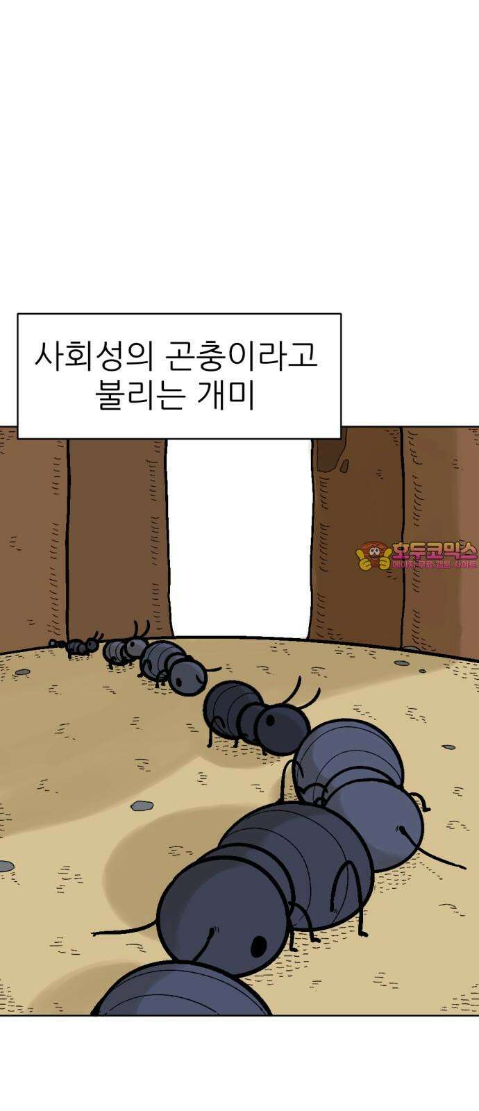 우리들의 사정 이상한 나라의 개미들(1) 1