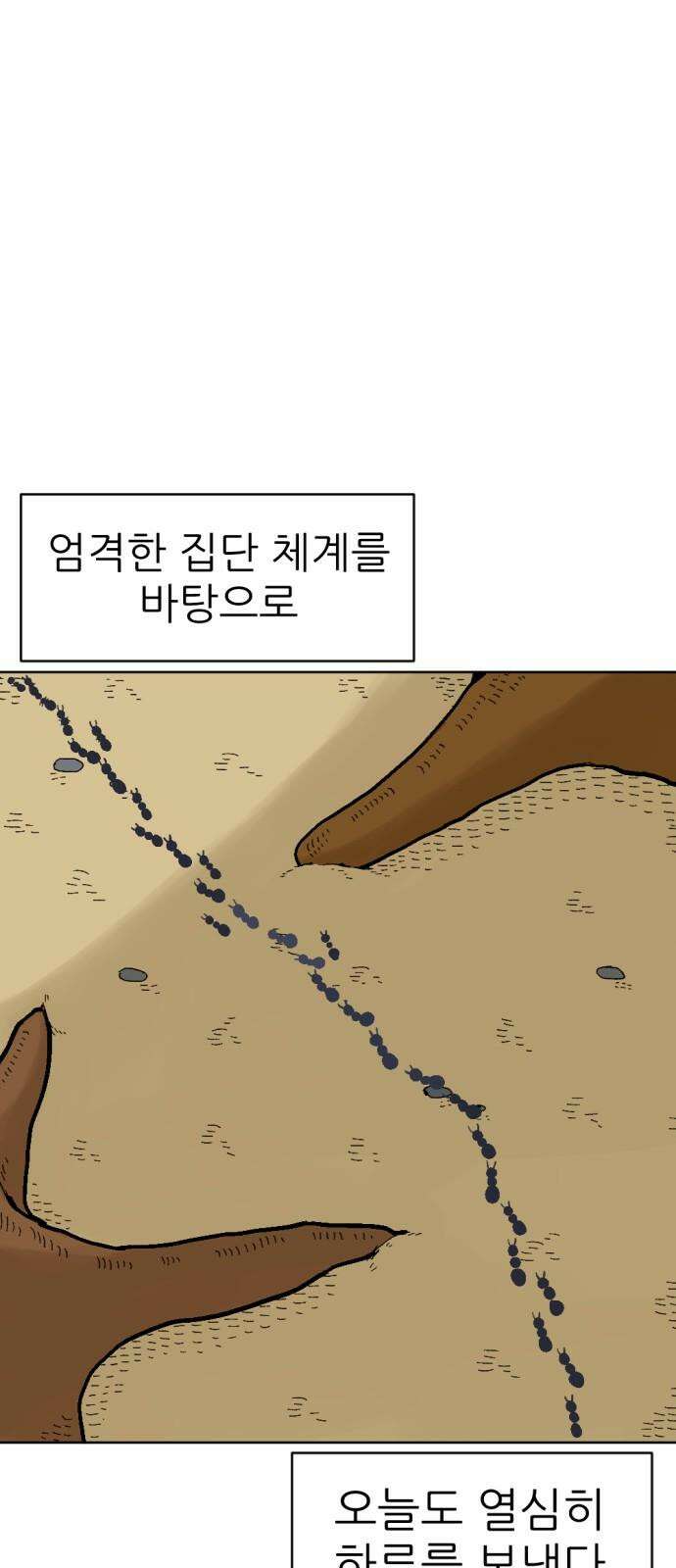 우리들의 사정 이상한 나라의 개미들(1) 2