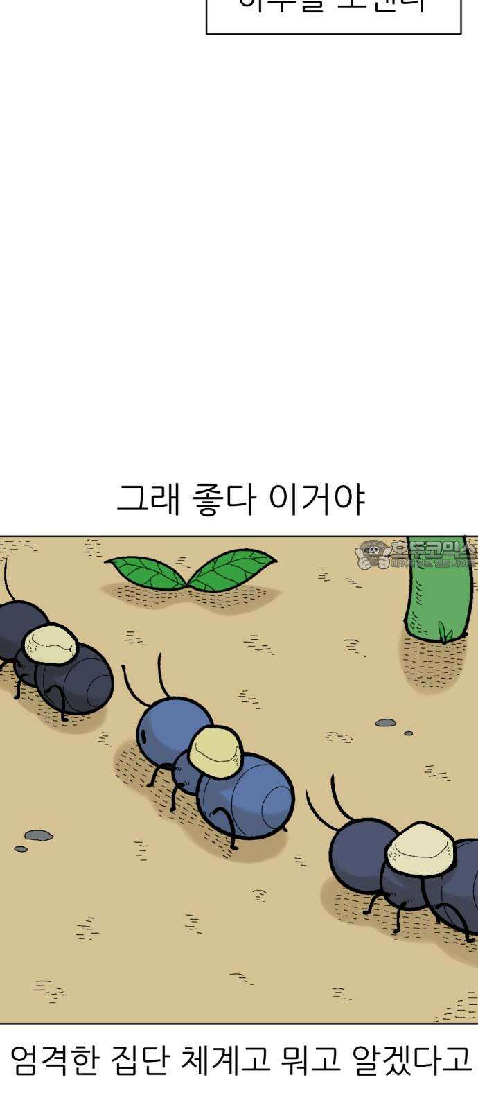 우리들의 사정 이상한 나라의 개미들(1) 3