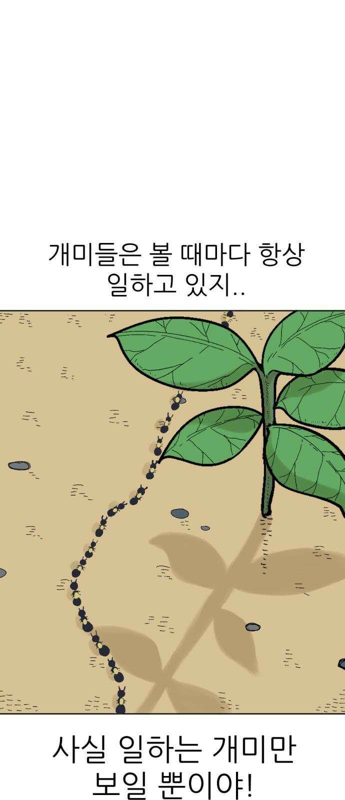 우리들의 사정 이상한 나라의 개미들(1) 8