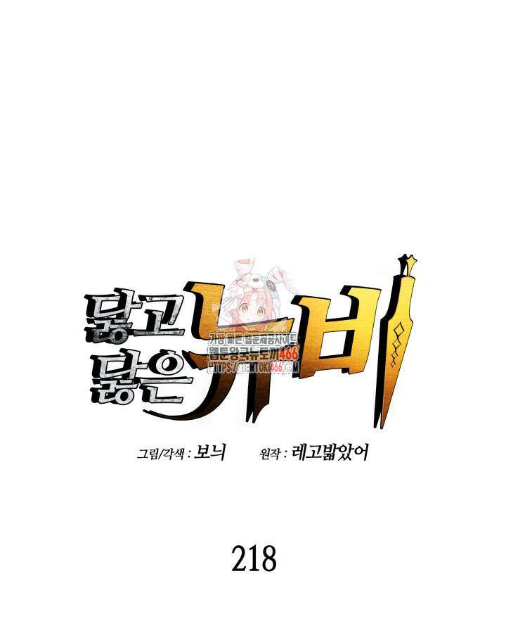 닳고닳은 뉴비 218화 1