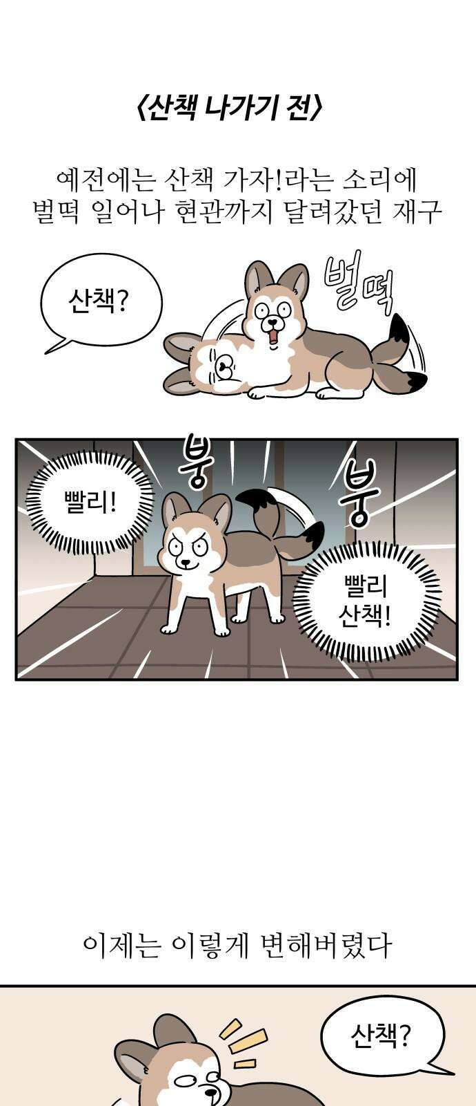 노곤하개 쇼츠 산책 나가기 전 2