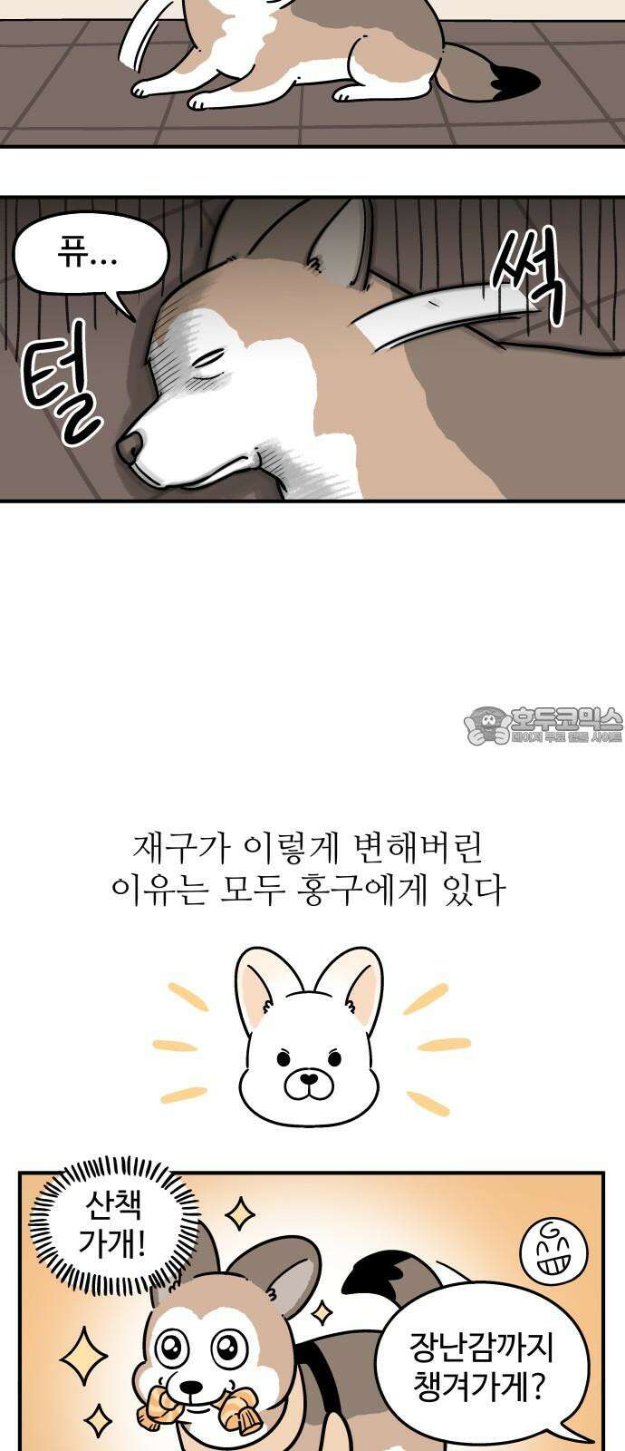 노곤하개 쇼츠 산책 나가기 전 3