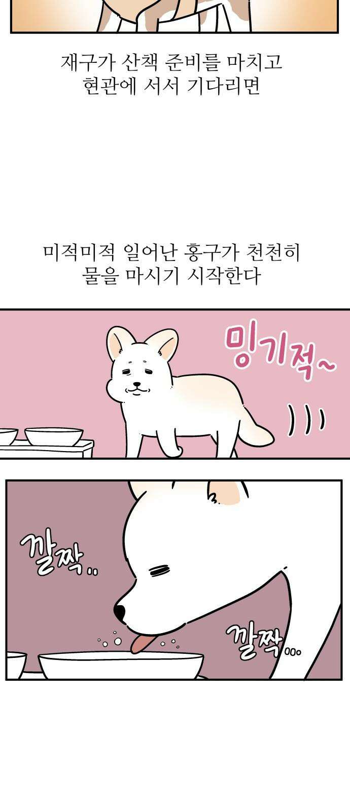 노곤하개 쇼츠 산책 나가기 전 4