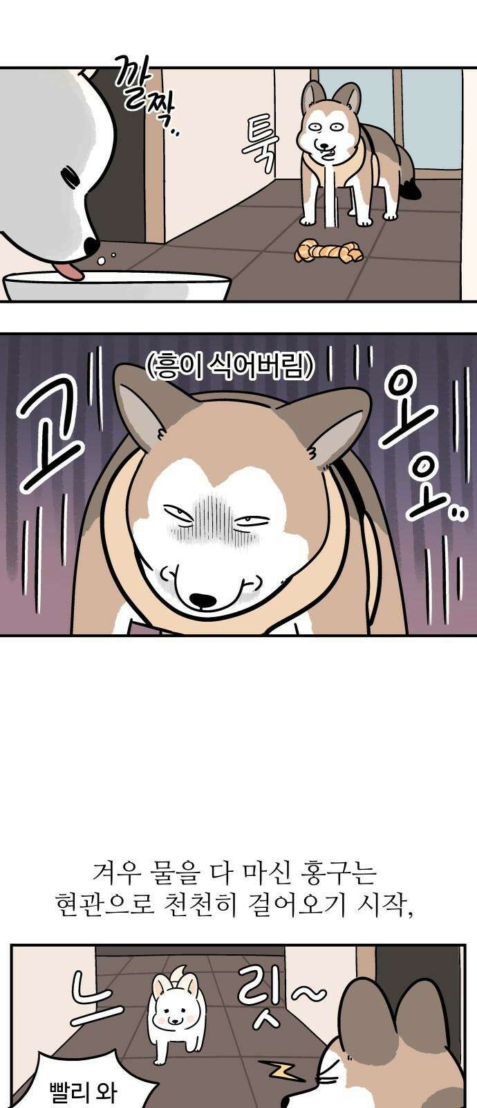 노곤하개 쇼츠 산책 나가기 전 5