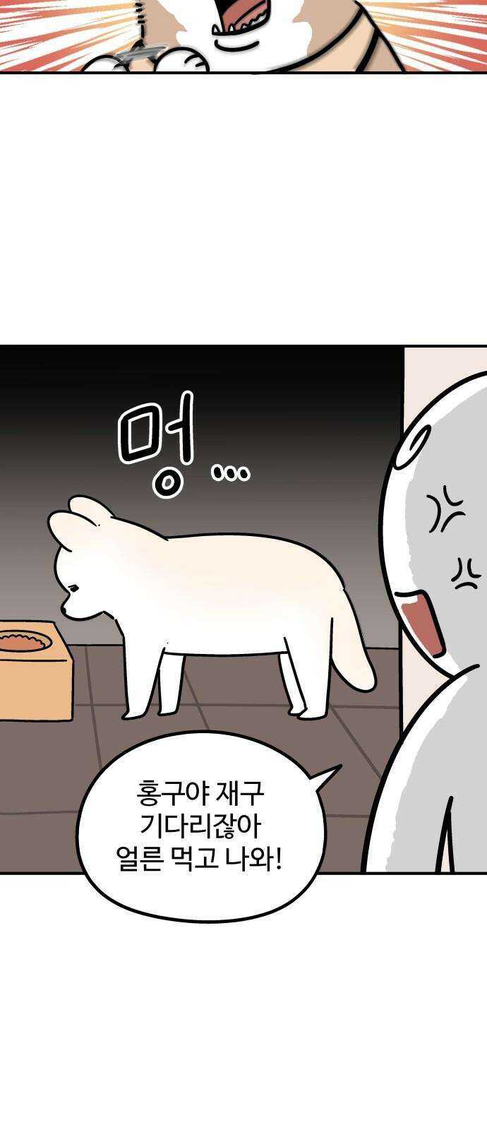 노곤하개 쇼츠 산책 나가기 전 7