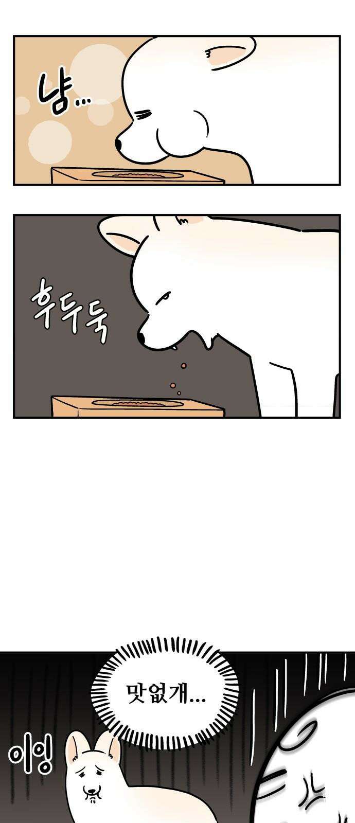 노곤하개 쇼츠 산책 나가기 전 8