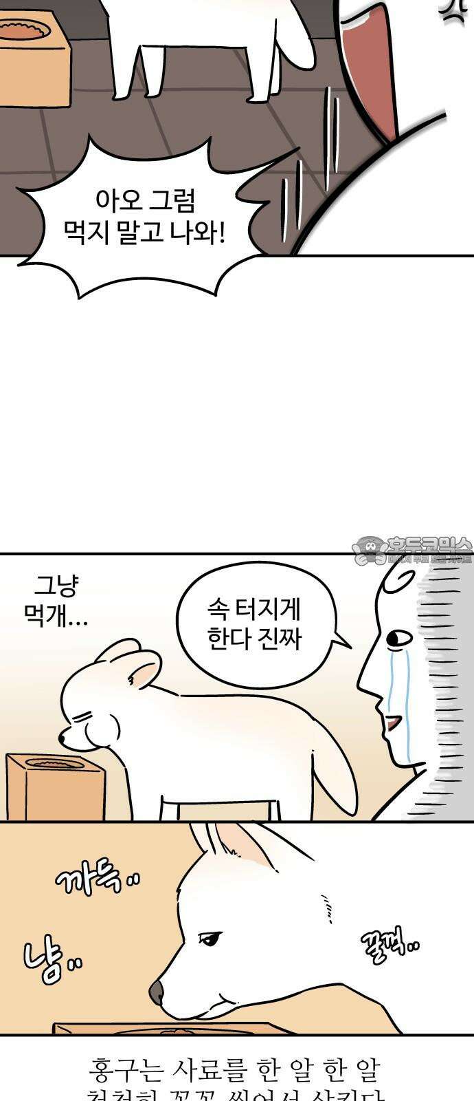 노곤하개 쇼츠 산책 나가기 전 9