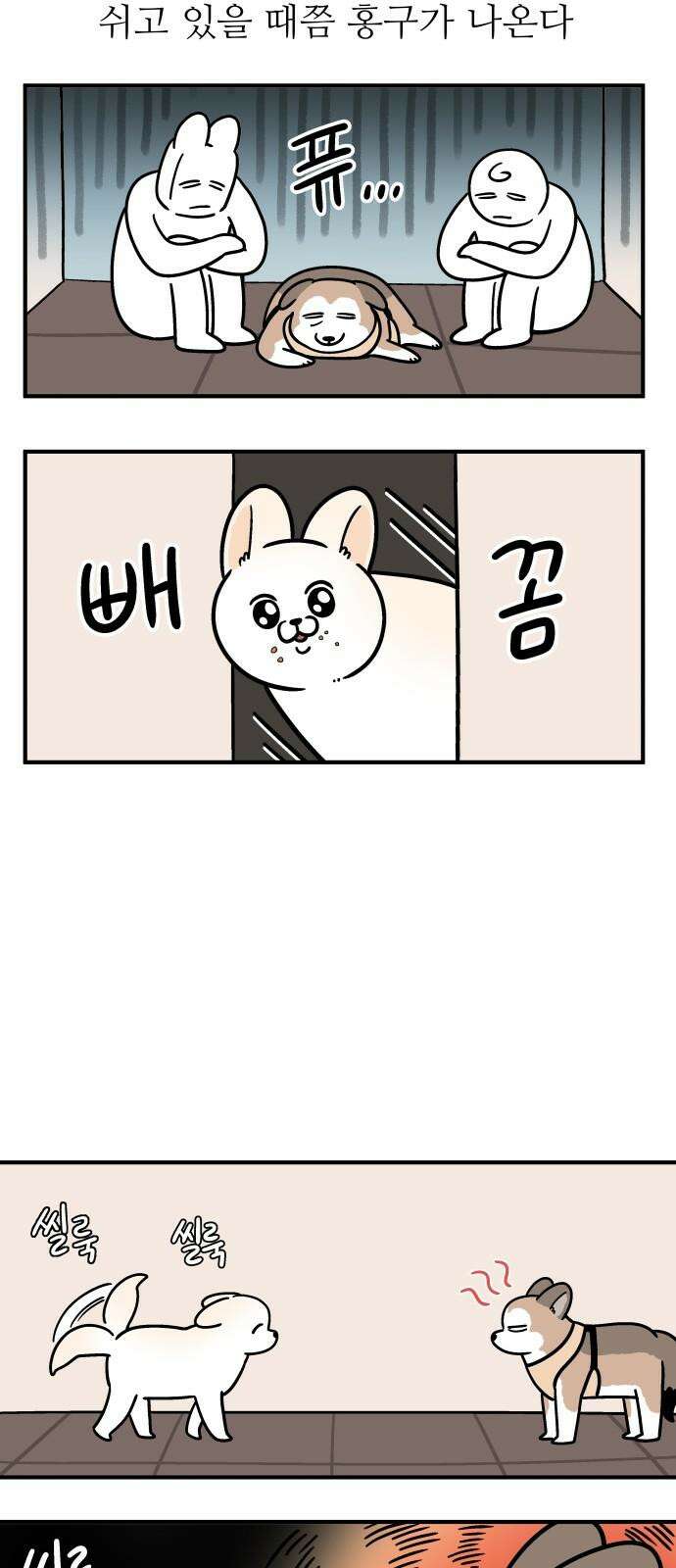 노곤하개 쇼츠 산책 나가기 전 11