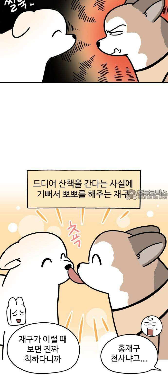 노곤하개 쇼츠 산책 나가기 전 12