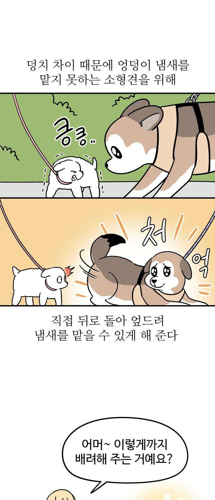 노곤하개 쇼츠 산책 나가기 전 16