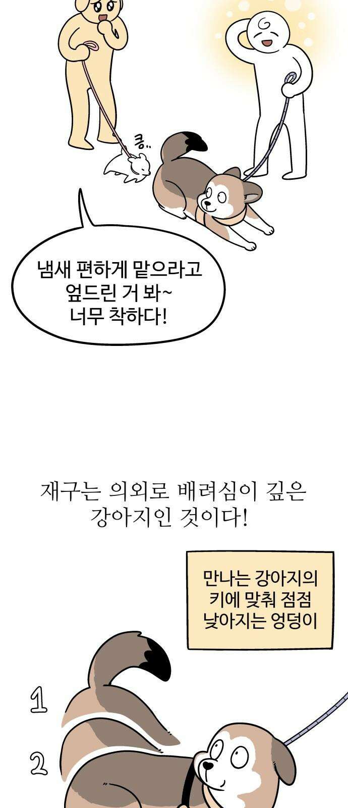 노곤하개 쇼츠 산책 나가기 전 17