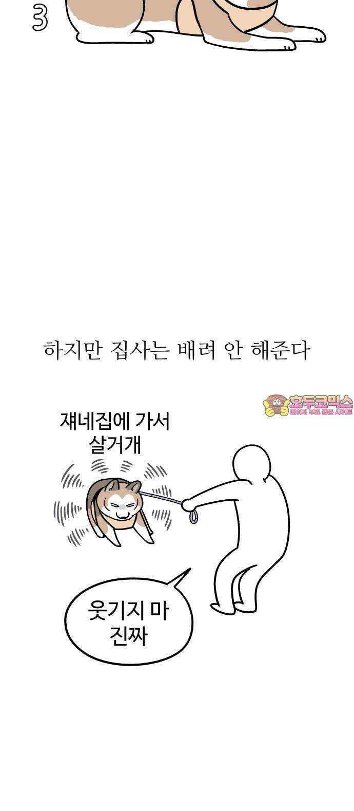 노곤하개 쇼츠 산책 나가기 전 18
