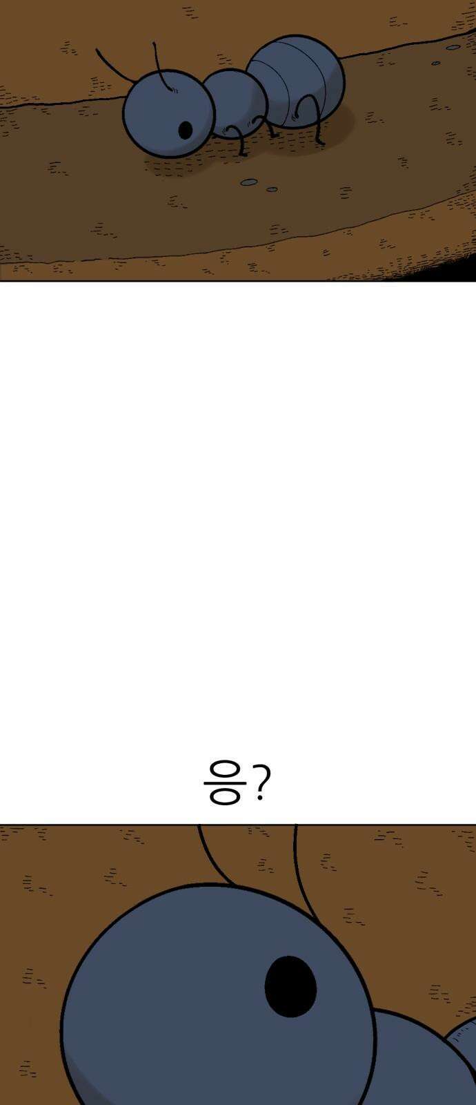 우리들의 사정 이상한 나라의 개미들(2) 完 10