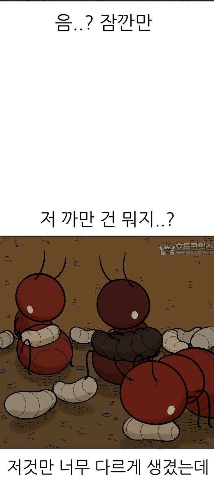 우리들의 사정 이상한 나라의 개미들(2) 完 15