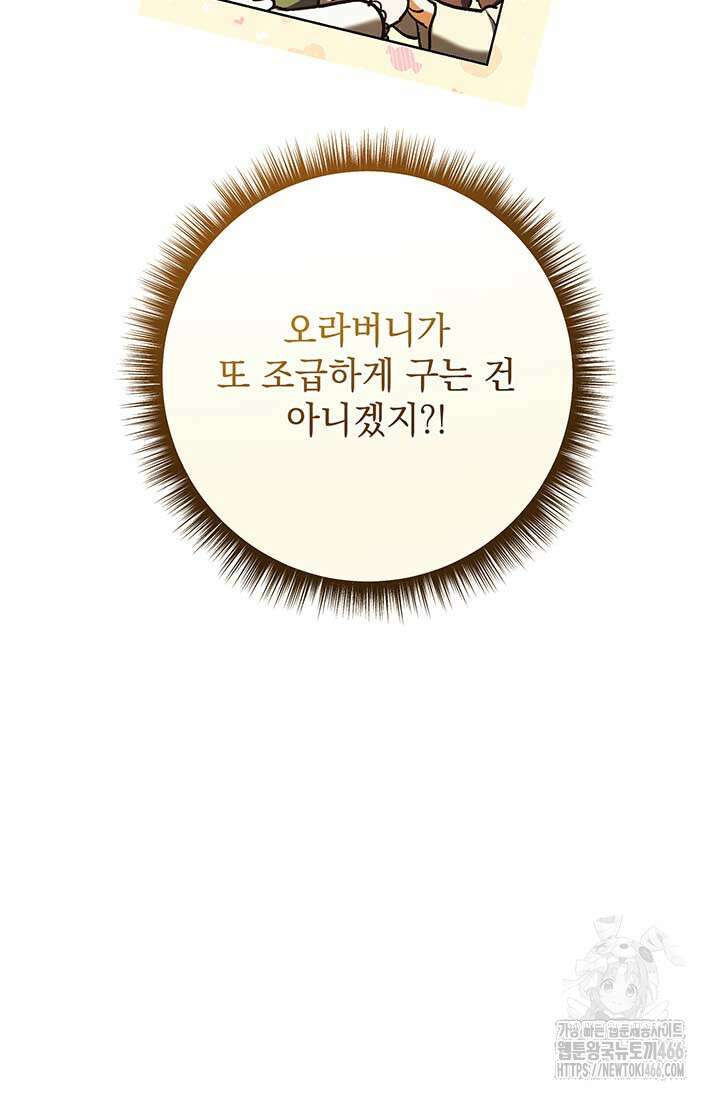 한 줄짜리 영애였을 터 213화 7