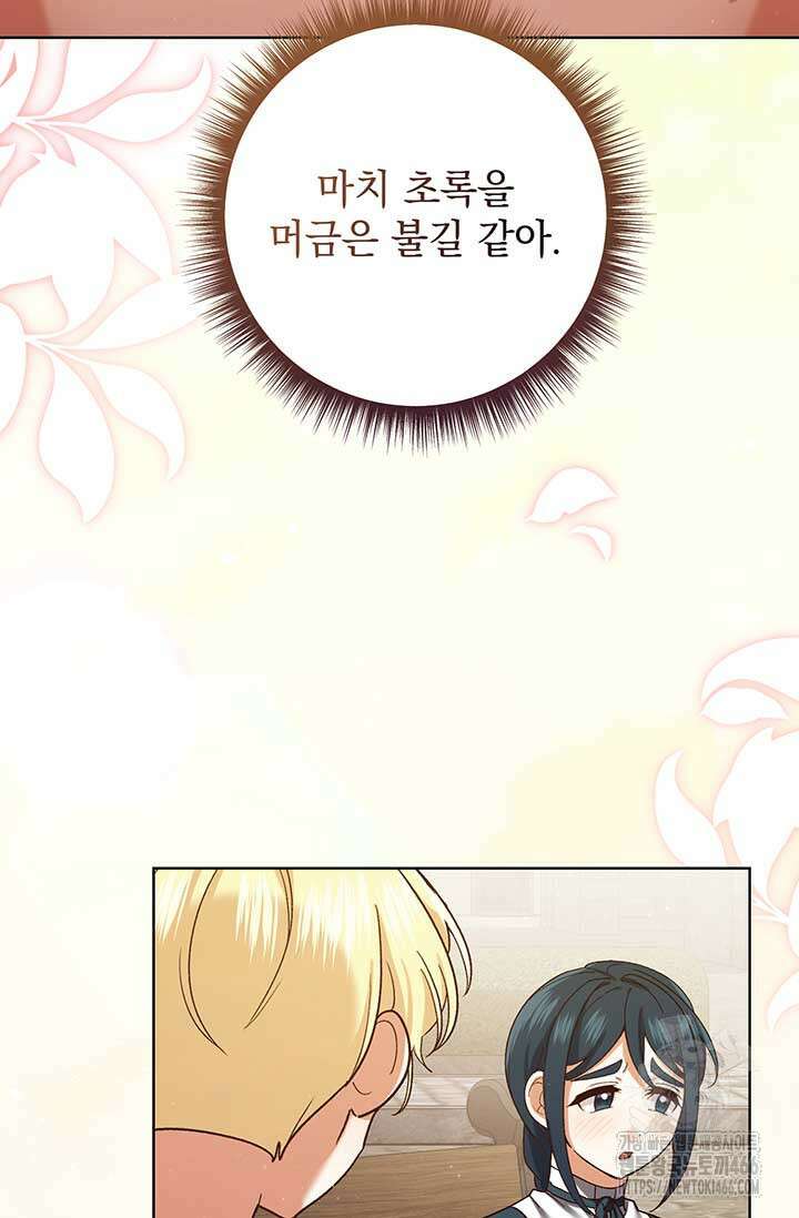 한 줄짜리 영애였을 터 213화 92
