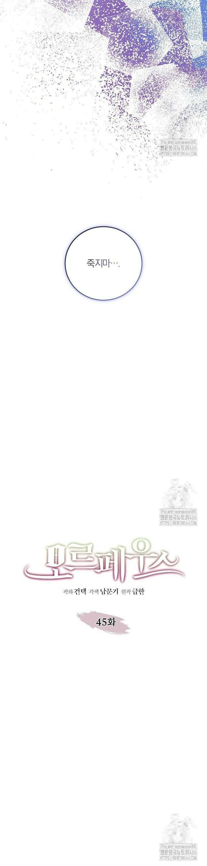 모르페우스 45화 15
