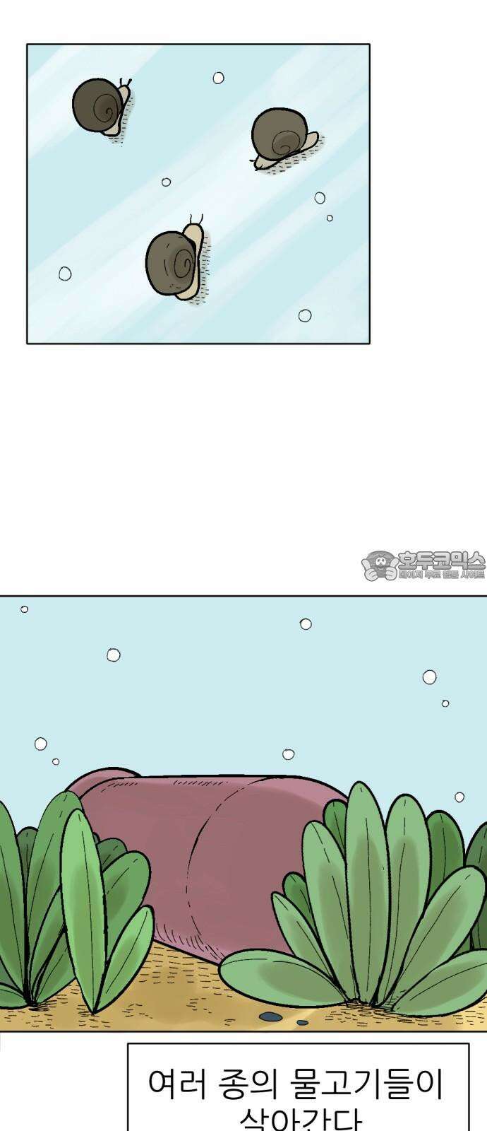 우리들의 사정 어항 속 금붕어(1) 3