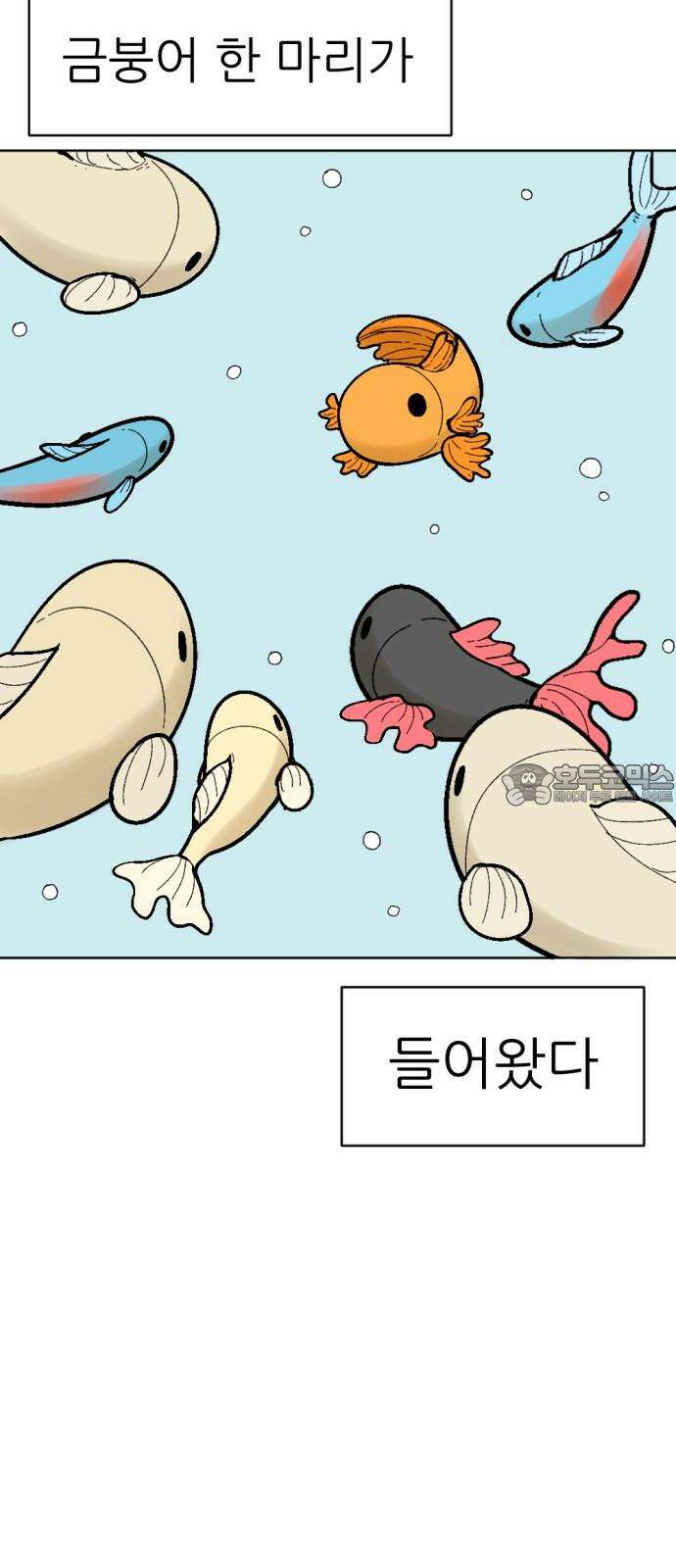 우리들의 사정 어항 속 금붕어(1) 6