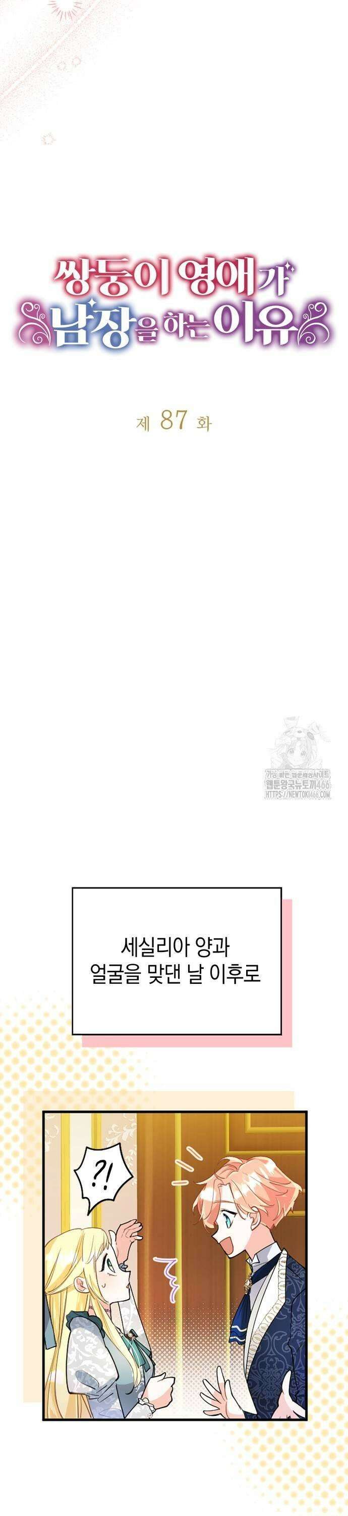 쌍둥이 영애가 남장을 하는 이유 87화 드디어 만났네요 9