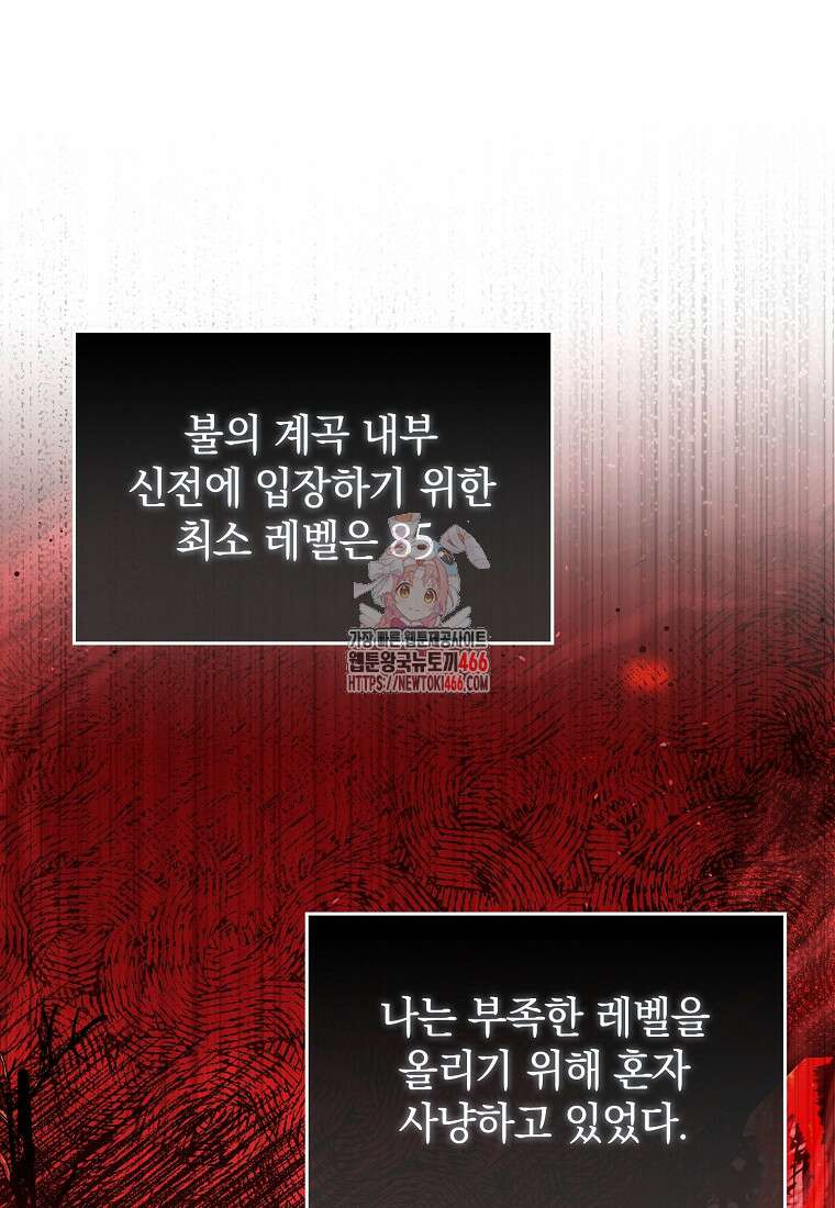 만렙 플레이어 87화 1