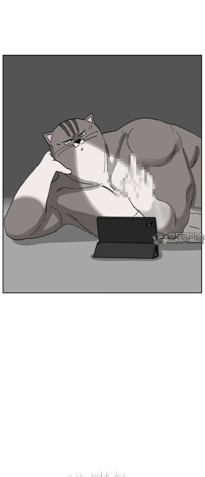 괴양이 75화 스키장 9