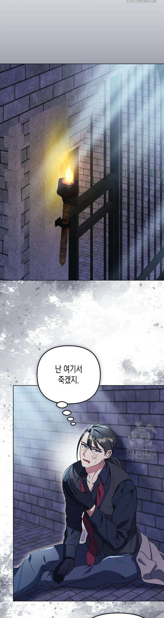 흑막 공작의 못난이 부인 19화 15