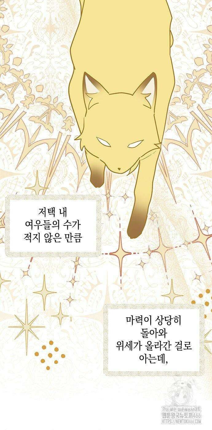 고양이인데, 늑대 가문에 입양당했다? 46화 2
