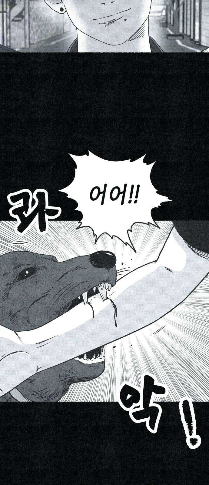 벌집 57화 23