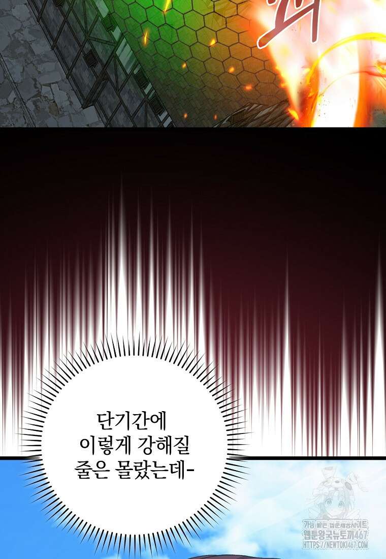만렙 플레이어 90화 20